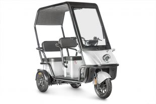 Электротрицикл Wanshida NIPLA 500 60V 1000Вт