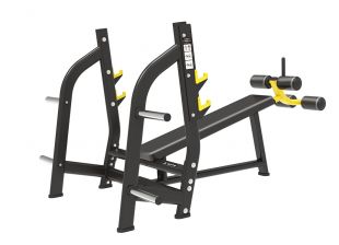 Скамья для жима с отрицательным наклоном Insight Fitness TN73