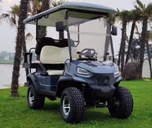 Гольфкар GreenCamel Linhai A22L (2+2, 3950W AC, R14 литые) LUX lifted
