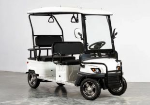 Гольфкар четырехместный OMA Electric Q7 White (60V 1000W)
