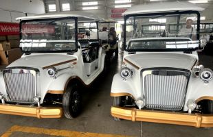 Гольфкар пятиместный Retro Car BM-V5 (4000W 48V)