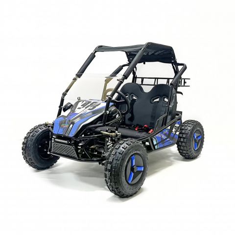 Багги GreenCamel Намиб T10 (60V 2000W R8 Дифф)